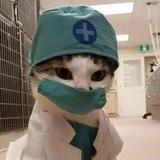 博学海浪jg头像