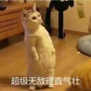 AloneGemini的个人资料头像