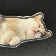 CyN的个人资料头像