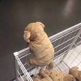 生气999头像