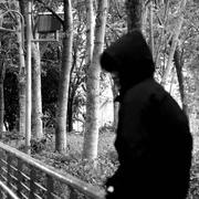 Amado的个人资料头像