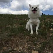 neallee的个人资料头像