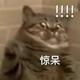 用户9321800402381头像
