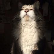 Null449的个人资料头像