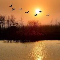 用户7142041677264头像