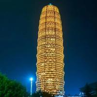 鞋首钱进头像