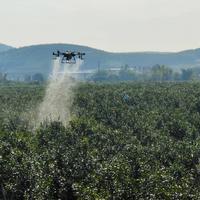 用户4206437208020头像