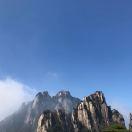 张星星本尊的个人资料头像