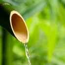 机灵小可的个人资料头像