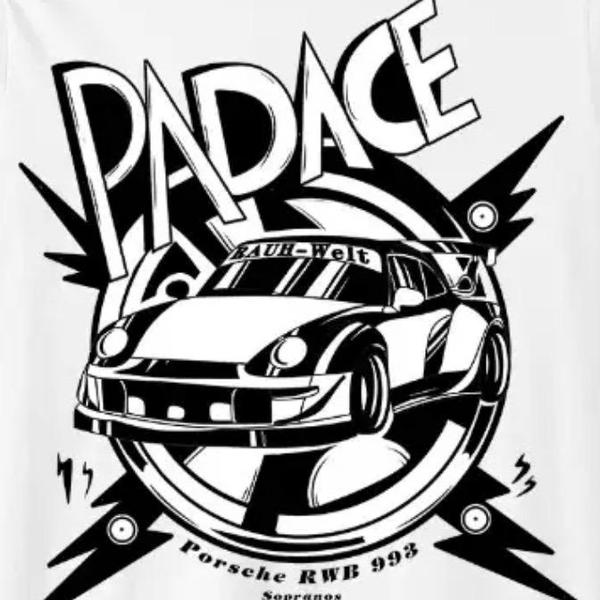 Padace派迪狮汽车模型头像
