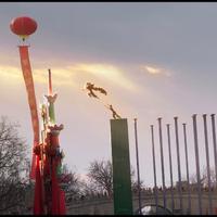 杉木头对面的狗头像