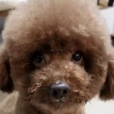 孤独尽头是什么头像