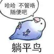maplejack的个人资料头像