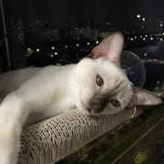 Exception的个人资料头像