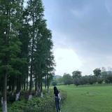 Cc.头像