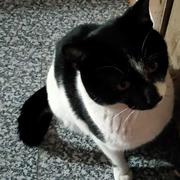 hc367的个人资料头像