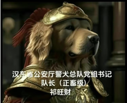 那天真的很好_的个人资料头像
