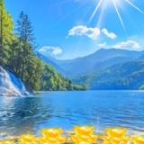 用户2710799296653头像