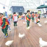 宁静8315头像