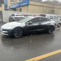 凉辰的焕新3头像