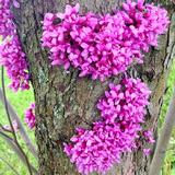 迷人的小丫头xxx头像