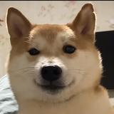 用户4705086718173头像