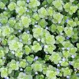 忘记十过去🌻头像