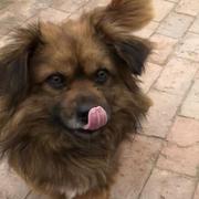 luokeluo的个人资料头像