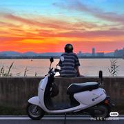 苦练九九八一天的个人资料头像