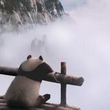 青墨断笺4386头像