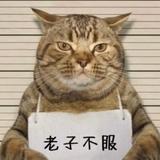 善良饭团gT头像