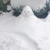 笑面无敌头像