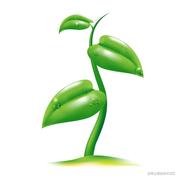 醒言的个人资料头像