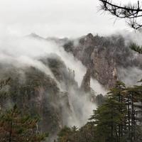 静心求远109头像