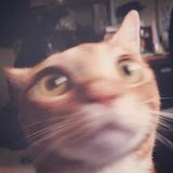用户1437755428182头像
