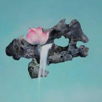 缘来是你90932头像