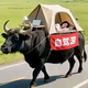 无欲则罡头像