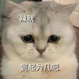 Yet然头像