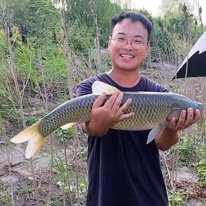 野钓狙鲫手