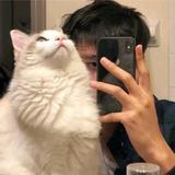 Aaaaa1546头像