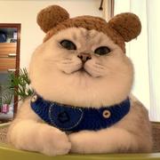 用户2776524855028的个人资料头像