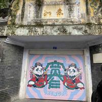 自由的恩择头像