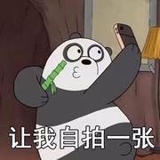 paulDowney的个人资料头像