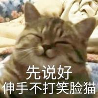 大野入苍穹z头像