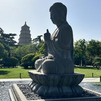 阿斯顿钢铁侠头像