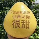 生活很难241头像