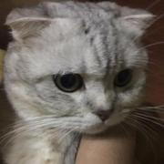 o0Chivas0o的个人资料头像