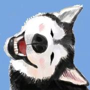 mndream的个人资料头像