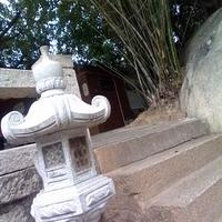 菜包豆腐馅头像