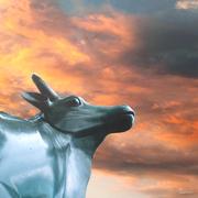 道友请慢走的个人资料头像